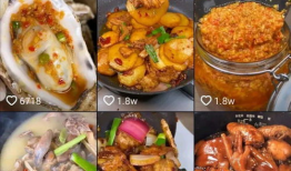 美食视频做菜大全视频,跟着视频学做家常美食