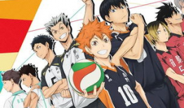排球少年动漫,梦想与激情的青春交响曲